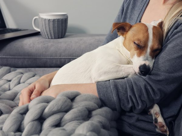 If You Own Pets, This Shark Robot Vacuum Is Essential — and It’s $320 Discounted