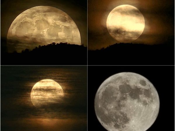 Current Lunar Phase: October 4 Moon Visibility