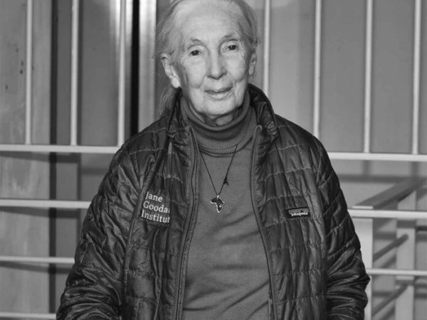 Dr. Jane Goodall, trailblazing chimpanzee researcher and environmentalist, has died.