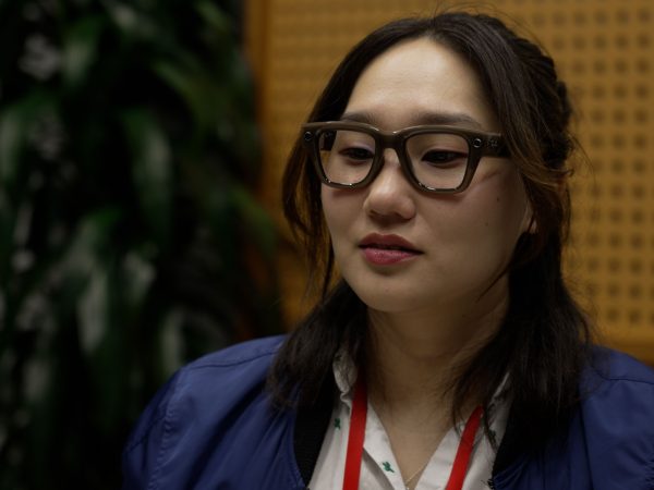 Meta Ray-Ban Display Evaluation Summary: Insights from Early Users