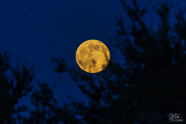 Today’s Moon Phase: Lunar Appearance on October 17