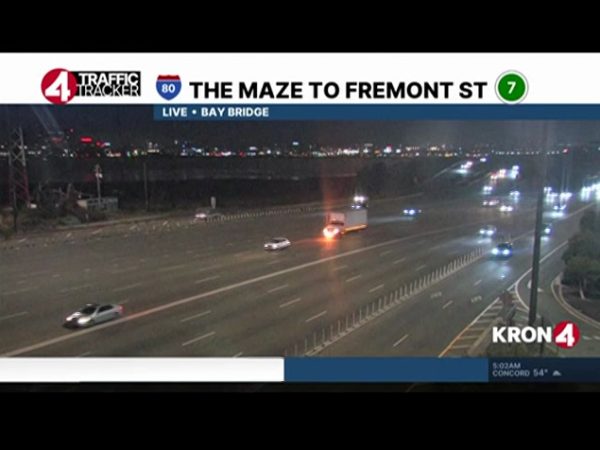 Cherished Feline Hit by Waymo Vehicle Grieved on Social Networks