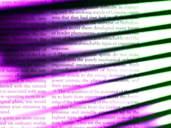 Common Crawl Reportedly Supplies Paywalled Material to AI Companies