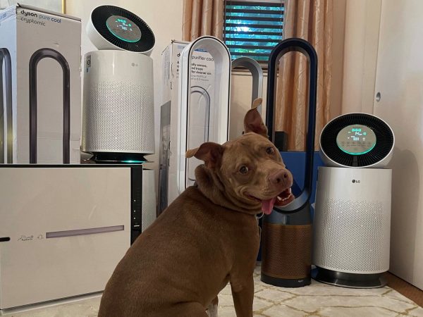 Enhance the air quality in your residence and save $200 on the Dyson Purifier Big + Quiet