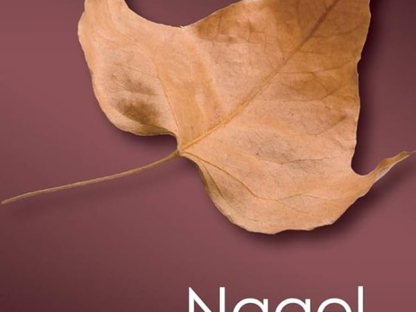 I’ve evaluated numerous sex toys. Here are the Black Friday offers I genuinely endorse.