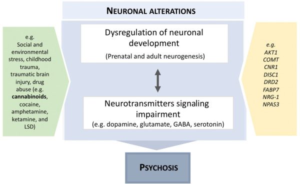 Lawsuits Allege ChatGPT Usage Led to Suicide, Psychosis