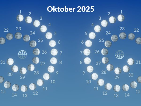 NYT Connections Sports Version: Clues and Solutions for November 21, 2025