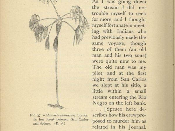 Relish Reading Once More: Headway Condenses Books, Now Only $40 for a Lifetime