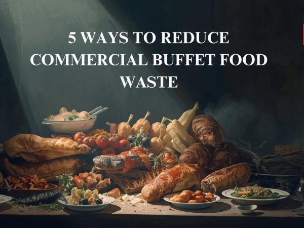 Remain Inquisitive and Comfortable — Lifetime Access to Curiosity Stream Docs is $250 Reduced