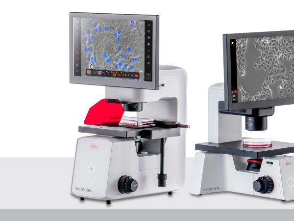 Stream Italy vs. Australia Online Without Charge