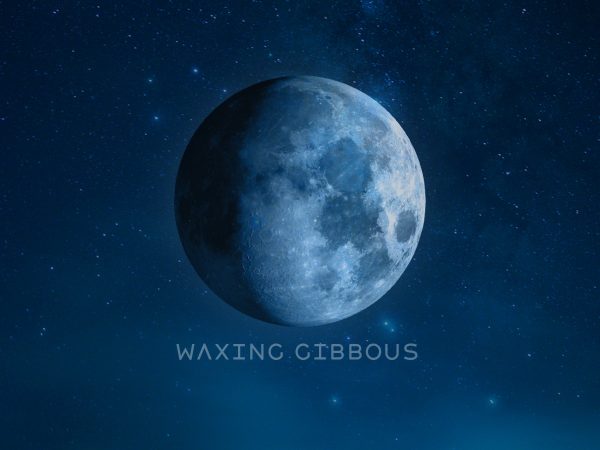 Today’s Lunar Phase: Moon Appearance on November 14