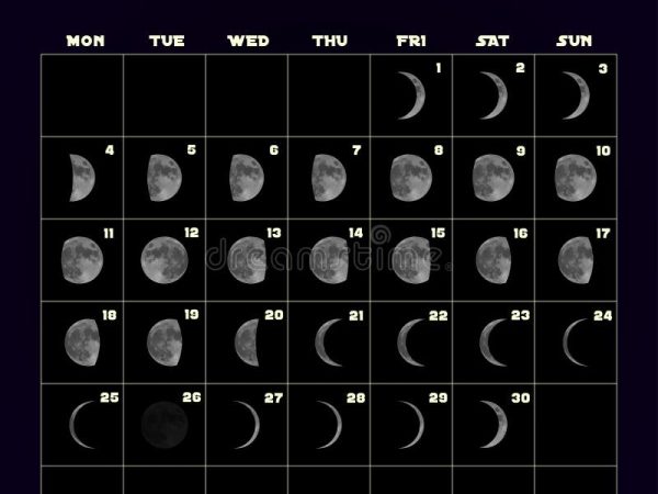 Today’s Lunar Phase: November 19 Moon Appearance