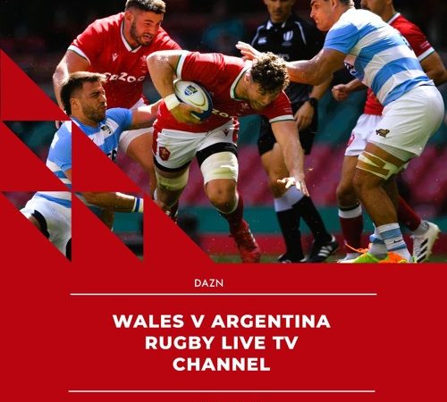 View Wales vs. Argentina Online at No Cost