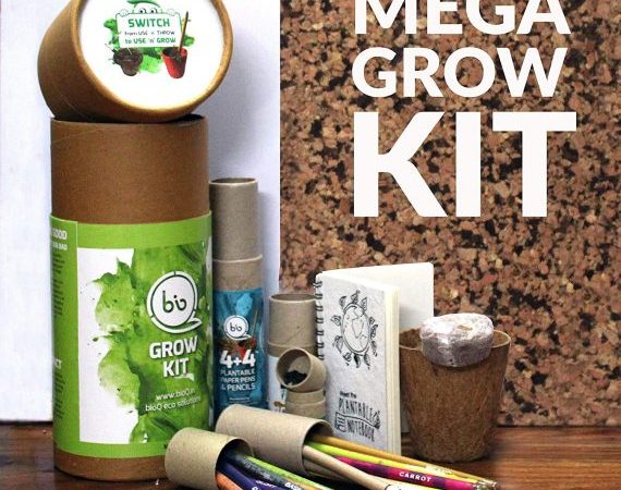 15+ Useful Eco-Conscious Presents