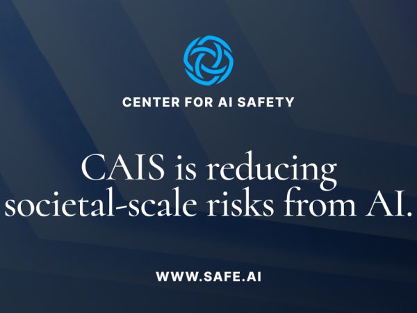 AI Safety Report: Merely 3 Models Succeed in the Evaluation