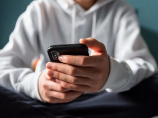 Best Presents for Pets and Their Guardians: Over 35 Suggestions Endorsed by Online Sources and Mashable Journalists