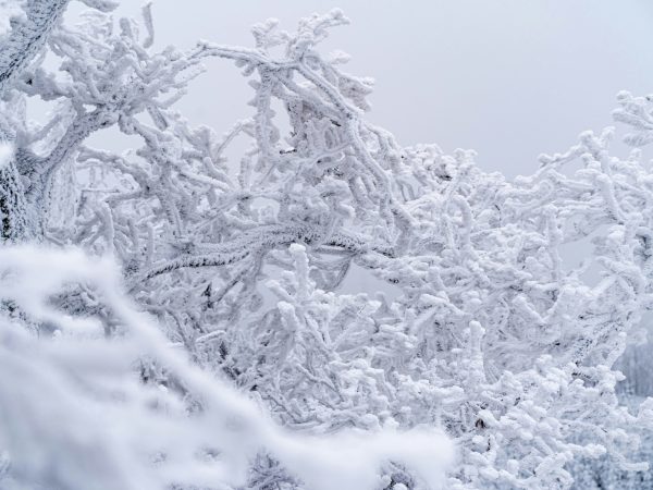 Cuffing Season Is Here: Leading Dating Apps for Committed Relationships Evaluated