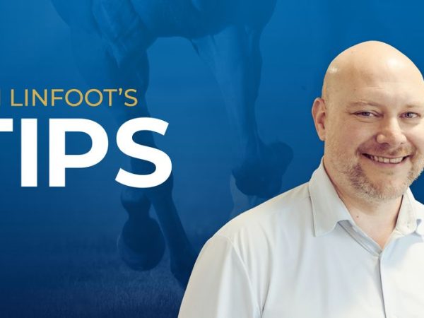 Hints and Solutions for Hurdle on December 20, 2025