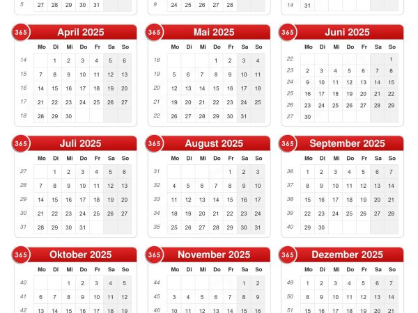 Hints and Solutions for NYT Connections: December 19, 2025