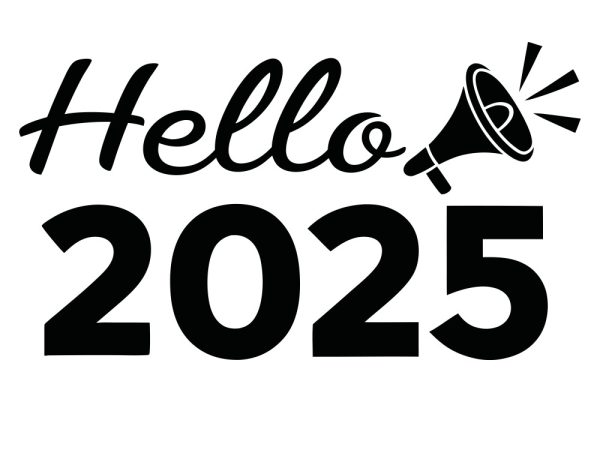 Hints and Solutions for NYT Connections on December 3, 2025