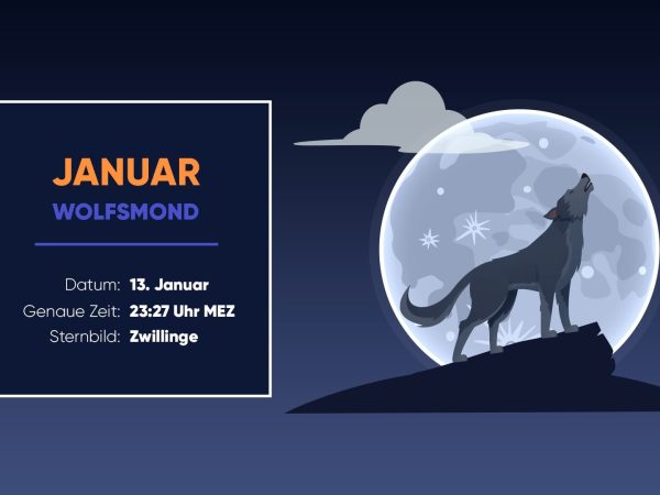 NYT Provides Hints and Answers for December 19, 2025