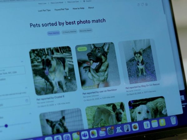 Petco Reveals Data Breach Impacting Customers in Specific States