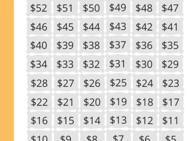 Save $1,000 on this Bluetti Portable Power Source and a Pair of Solar Panels