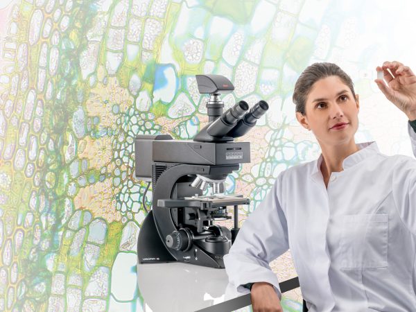 View DR Congo vs. Benin Online at No Cost