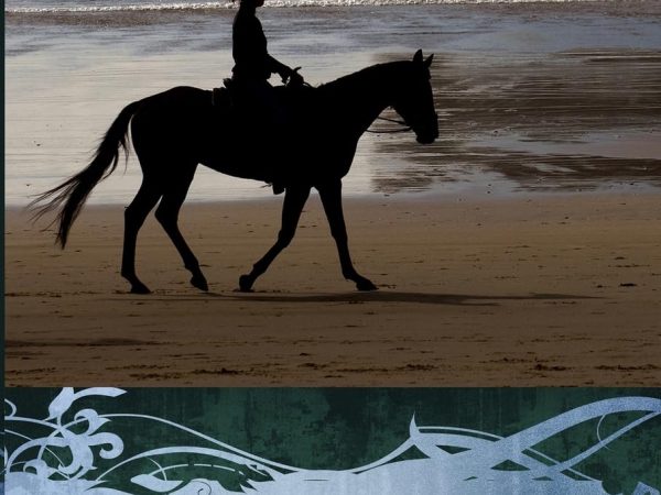 A Newcomer’s Handbook to Sexting