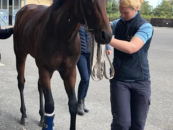 Arc Raiders Imposes Extensive Sanctions on Suspected Cheaters