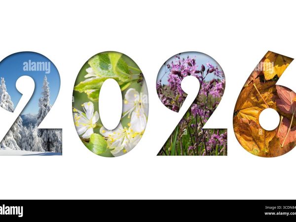 Hints and Solutions for Hurdle dated January 15, 2026