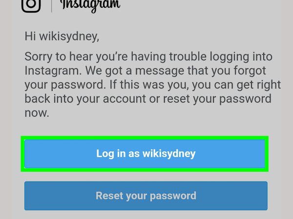 How to Recognize an Authentic Instagram Password Reset Email