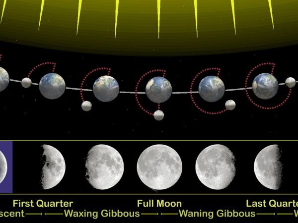 Today’s Lunar Phase: How the Moon Will Appear on December 31