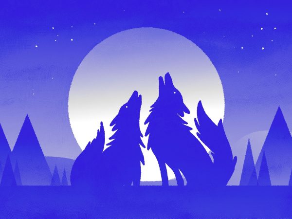 Today’s Lunar Phase: How the Moon Will Appear on January 7