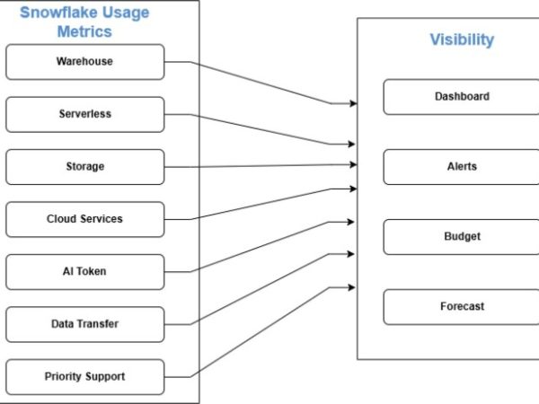 Acquire 100TB of Permanent Cloud Storage and Eliminate Monthly Charges