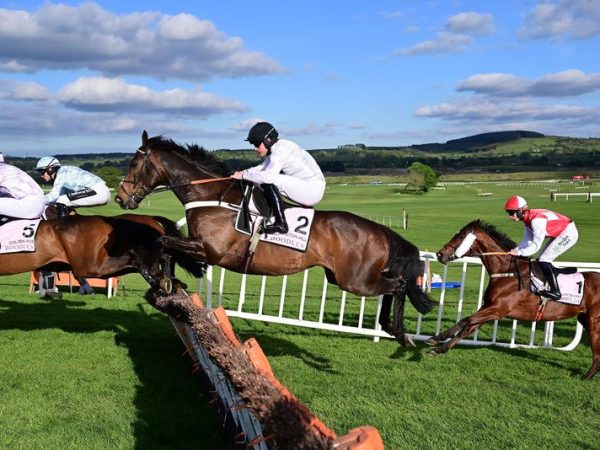 Hints and Solutions for Hurdle on February 25, 2026