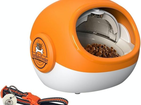 Present the Most Significant Family Member with the Petlibro Automatic Pet Feeder Available for Less than $70