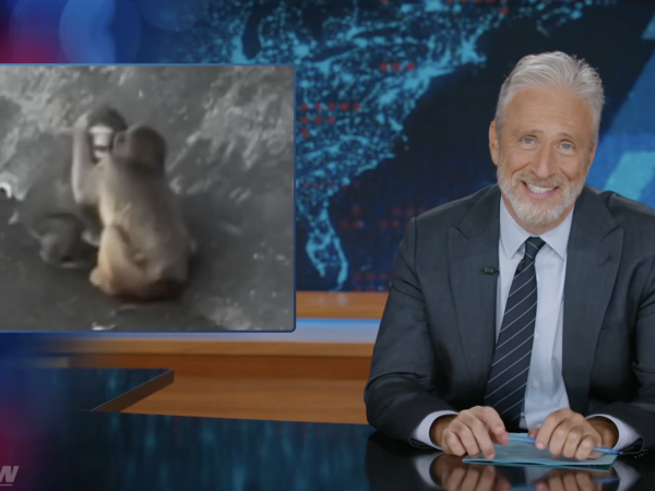 Jon Stewart Responds Severely to Punch the Monkey’s New Partner