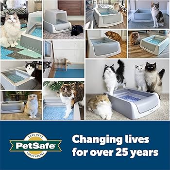 PetSafe ScoopFree: An Affordable Litter-Robot Substitute for Cats That Don’t Prefer Enclosed Boxes