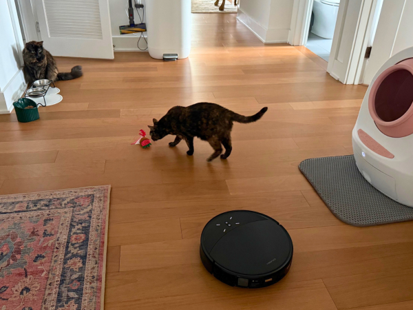 The 8 Finest Vacuums for Pet Owners: Ranging from Strong Hair Removal to Live Streaming Cameras